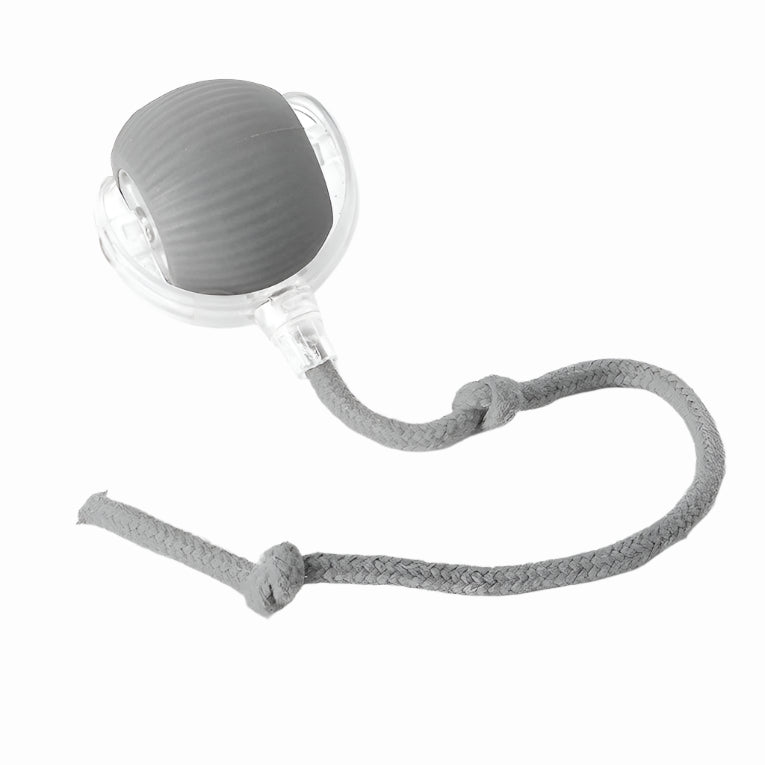Battery Powered Rolling Ball Toy for Dogs with a Removable Tail in Six Colors for Indoor Play