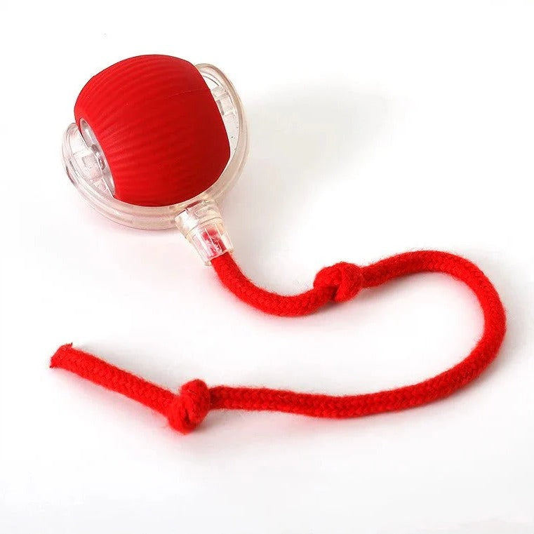 Battery Powered Rolling Ball Toy for Dogs with a Removable Tail in Six Colors for Indoor Play