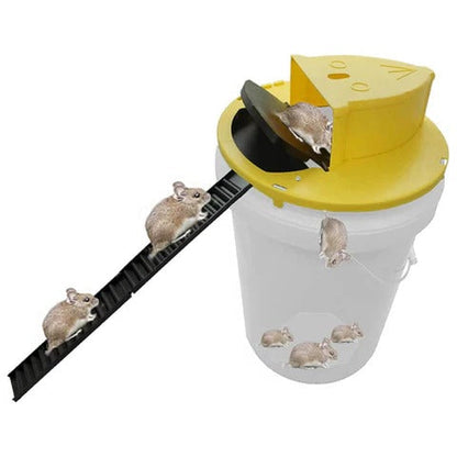 Bucket Lid Mouse and Rat Trap with a Flip and Slide Cover, Two Ladders and an Auto Reset for a 5 Gallon Bucket