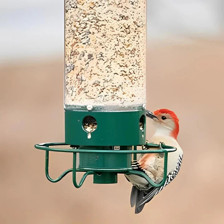 Squirrel Proof Bird Feeder