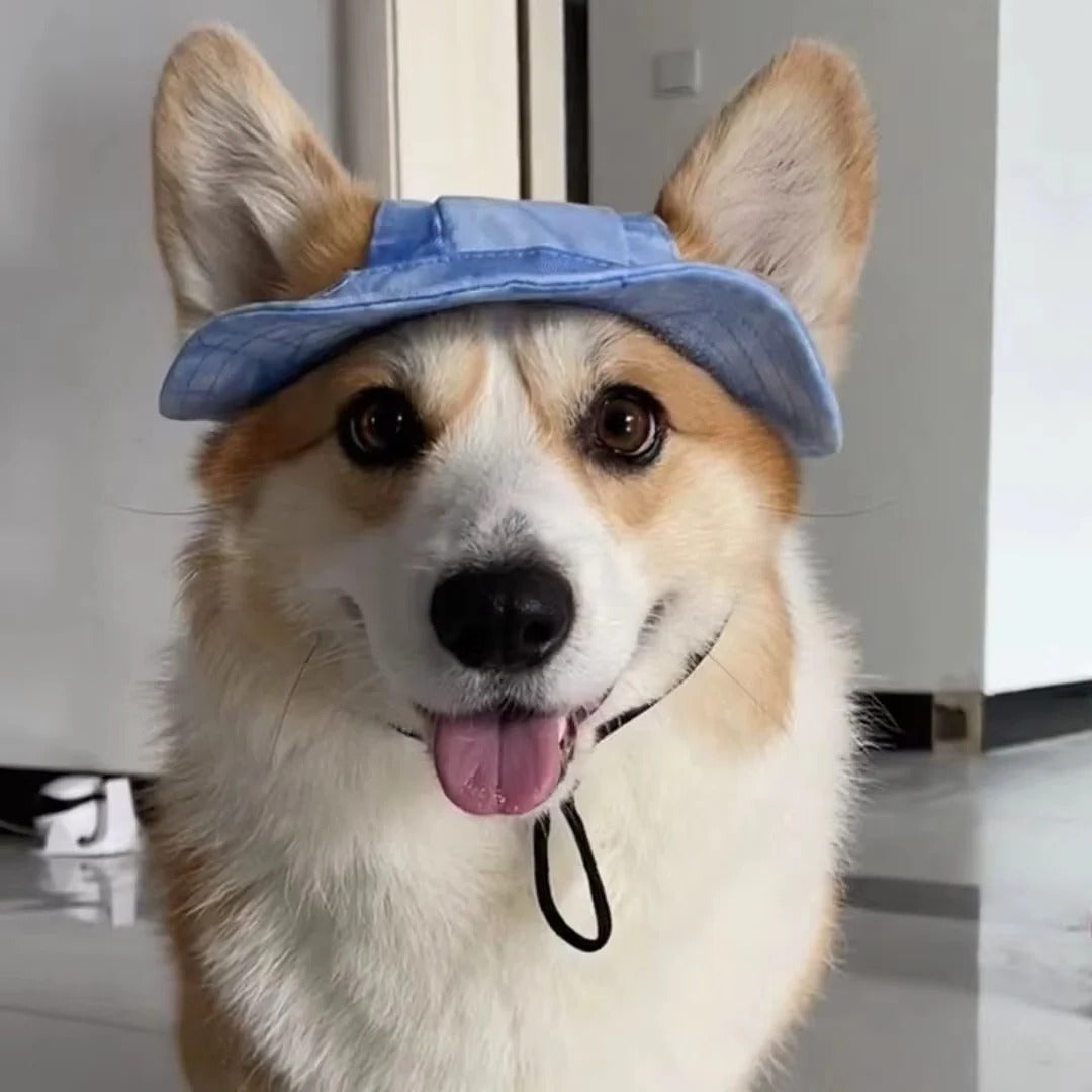 Dog Sun Hat with Brim and Adjustable Strap