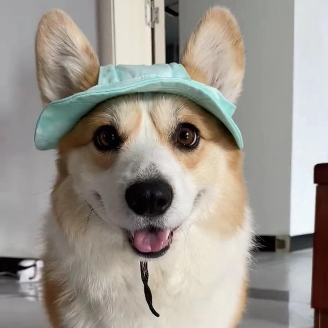 Dog Sun Hat with Brim and Adjustable Strap
