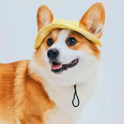 Dog Sun Hat with Brim and Adjustable Strap