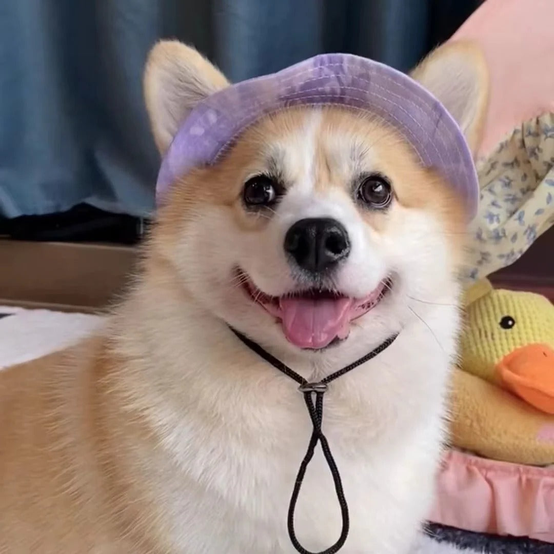 Dog Sun Hat with Brim and Adjustable Strap
