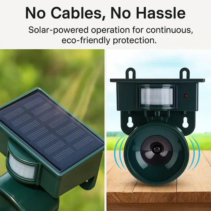 Automatic Bird Deterrent with Motion Detection for Crows