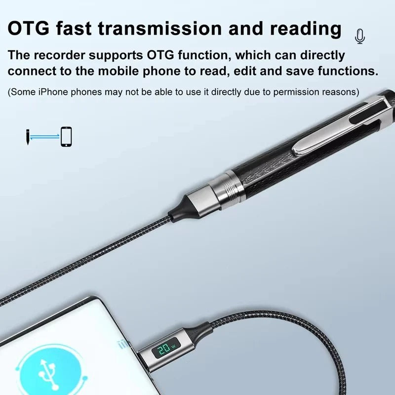 Portable Voice Recorder With High Fidelity Audio And Multiple Storage