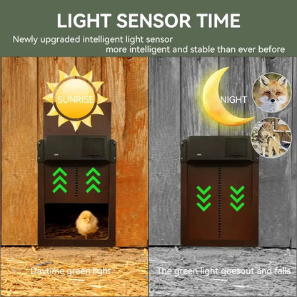 Auto Chicken Coop Door with Light Sensor and Weatherproof Build