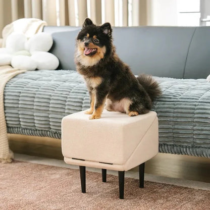 Foldable Pet Ramp with Step Design for Dogs