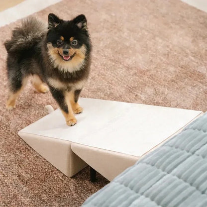 Foldable Pet Ramp with Step Design for Dogs