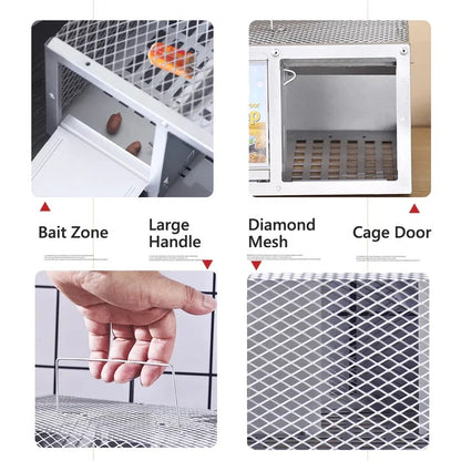 Reusable Metal Mouse Trap with Locking Door and Open Mesh Cage Design