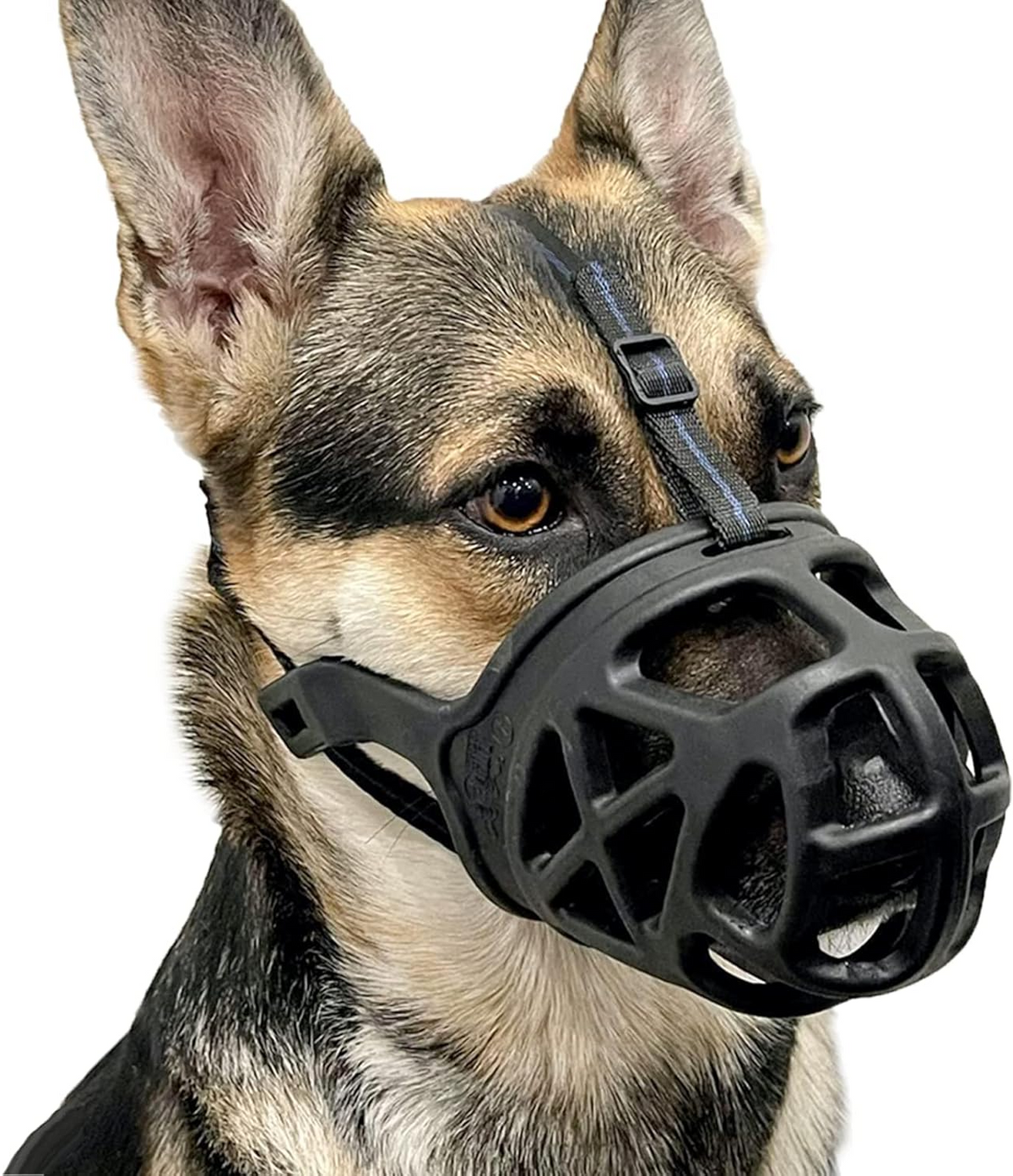Basket Dog Muzzle with Adjustable Straps and Training Guide for Walks and Vet Visits