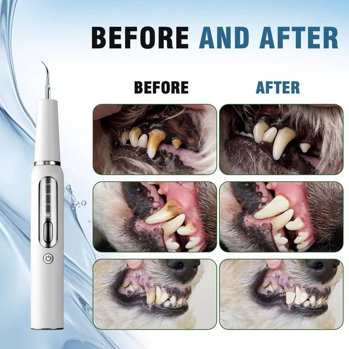 Ultrasonic Pet Dental Tool with Gentle Oral Cleaning for Dogs