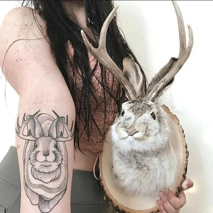 Wall Mounted Jackalope Figure for Home Decor