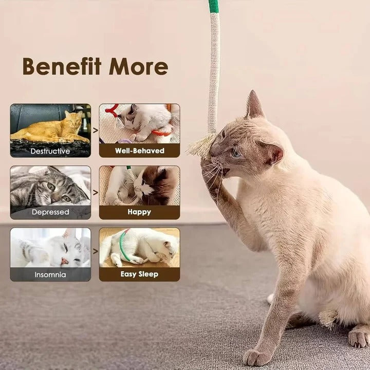 Cat Rope Chew Toys with Silvervine Balls, 3-Piece Set