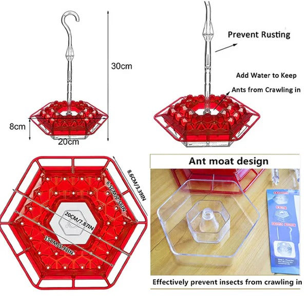Hanging Hummingbird Feeder with Ant Moat Design