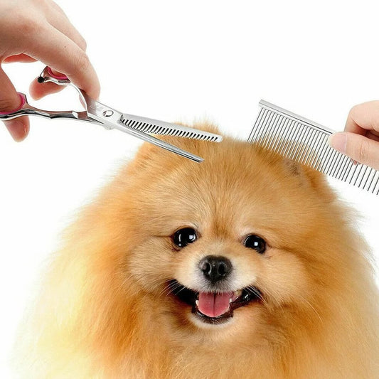 Dog Grooming Scissors Kit with 7 Inch Steel Blades and Rounded Safety Tips and Ergonomic Handles