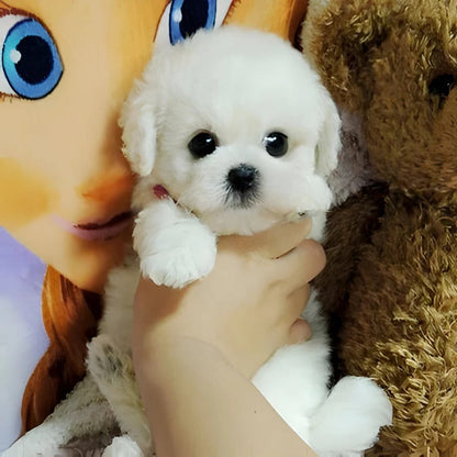 Weighted Plush Dog Toy with Synthetic Fur Exterior