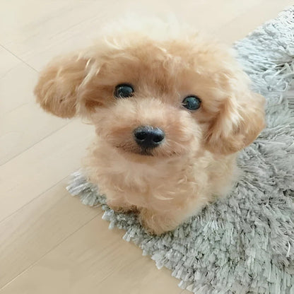 Weighted Plush Dog Toy with Synthetic Fur Exterior