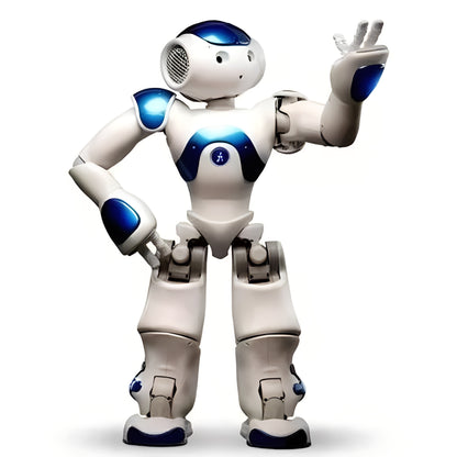 WiFi Enabled Humanoid Robot with Voice Input and Motion Control
