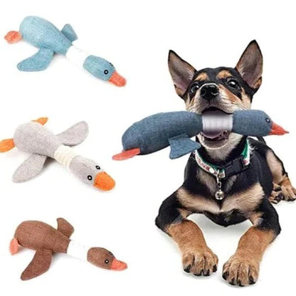 Rugged Bird Squeaker and Firm Pet Mauler