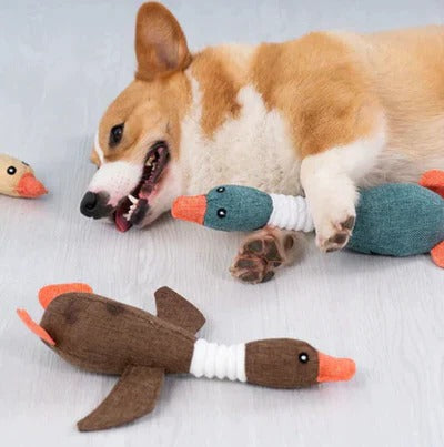 Rugged Bird Squeaker and Firm Pet Mauler