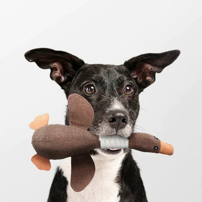 Rugged Bird Squeaker and Firm Pet Mauler