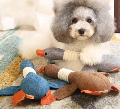 Rugged Bird Squeaker and Firm Pet Mauler