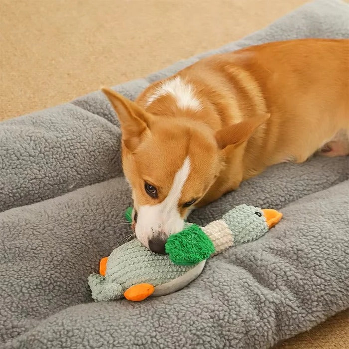 Rugged Bird Squeaker and Firm Pet Mauler
