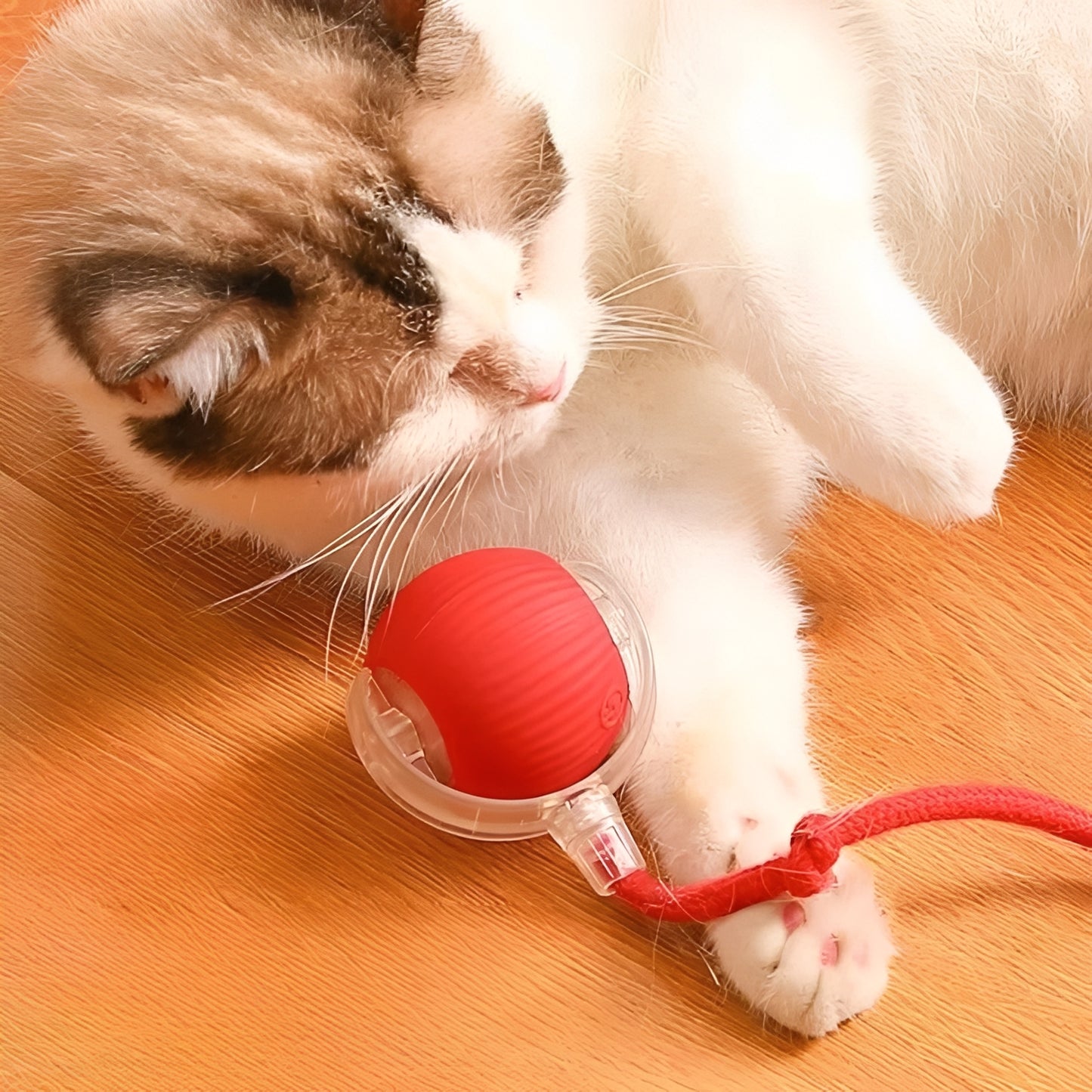 Automatic Rolling Cat Toy with Motion Sensor and Feather Tail