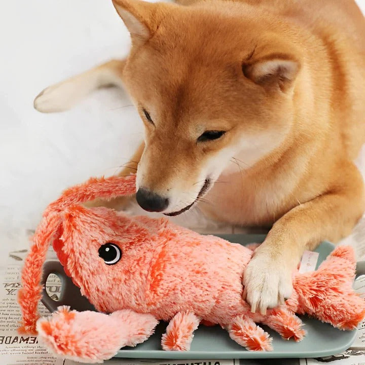 Interactive Floppy Lobster Toy for Dogs with Motion Activation