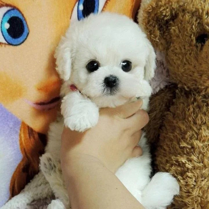 Realistic Plush Teddy Dog with Weighted Body
