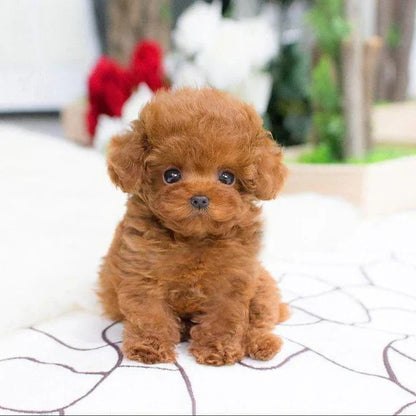 Realistic Plush Teddy Dog with Weighted Body