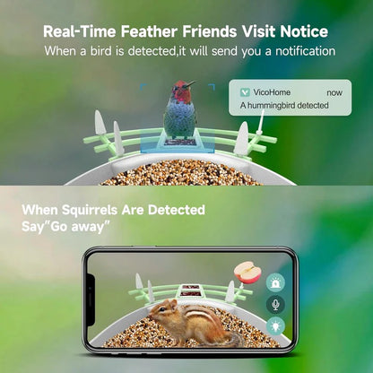 Solar Powered Bird Feeder with Built In Camera