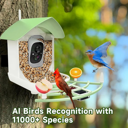 Solar Powered Bird Feeder with Built In Camera