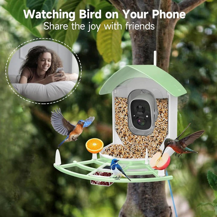 Solar Powered Bird Feeder with Built In Camera