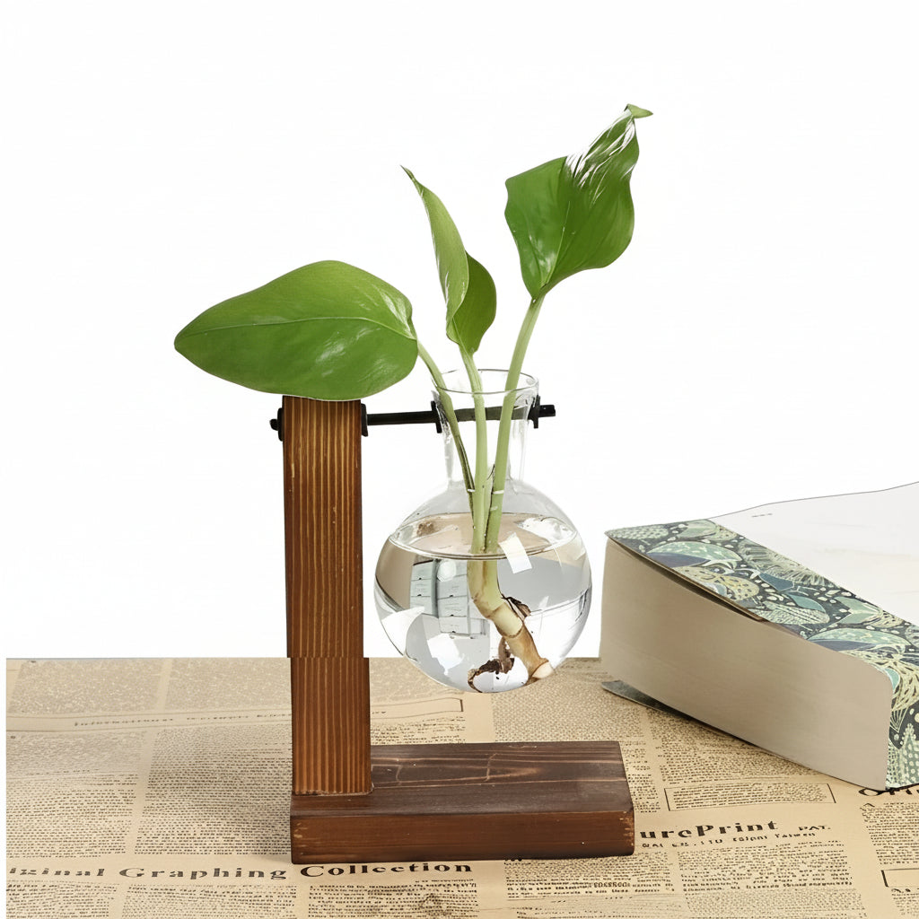 Hydroponic Glass Vase with Wooden Stand