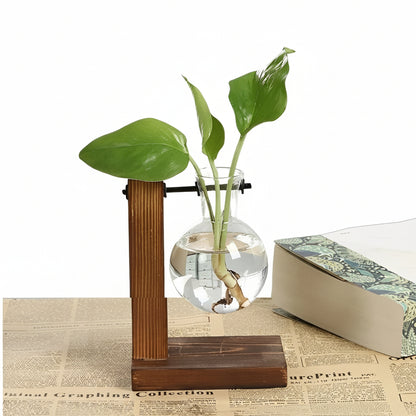 Hydroponic Glass Vase with Wooden Stand