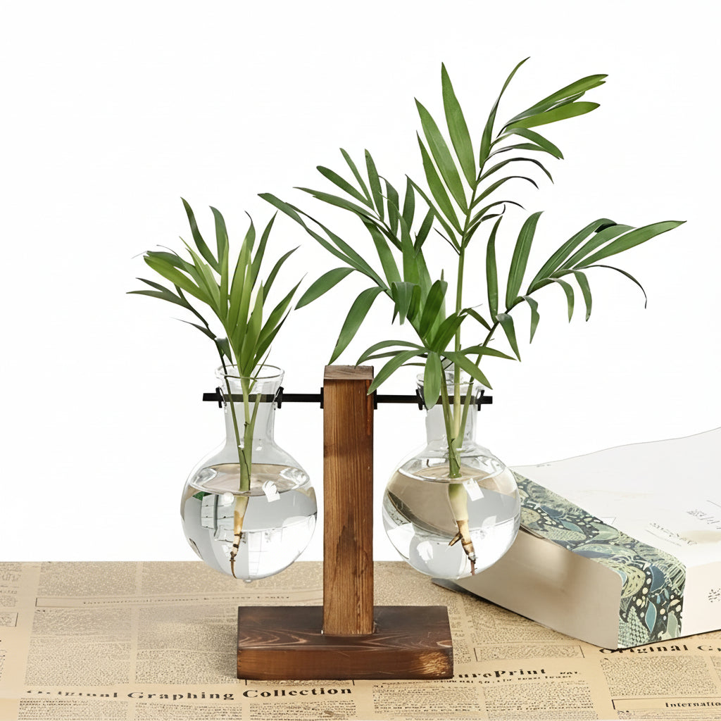 Hydroponic Glass Vase with Wooden Stand