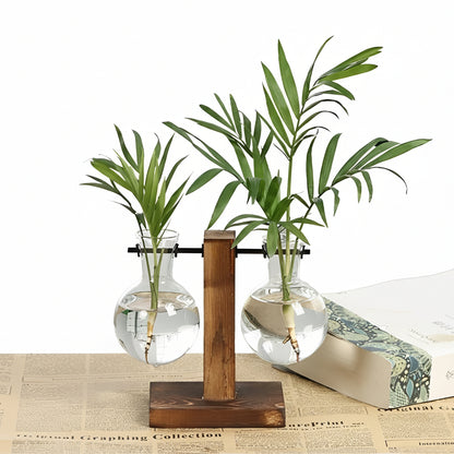 Hydroponic Glass Vase with Wooden Stand