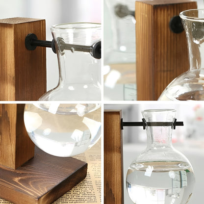 Hydroponic Glass Vase with Wooden Stand