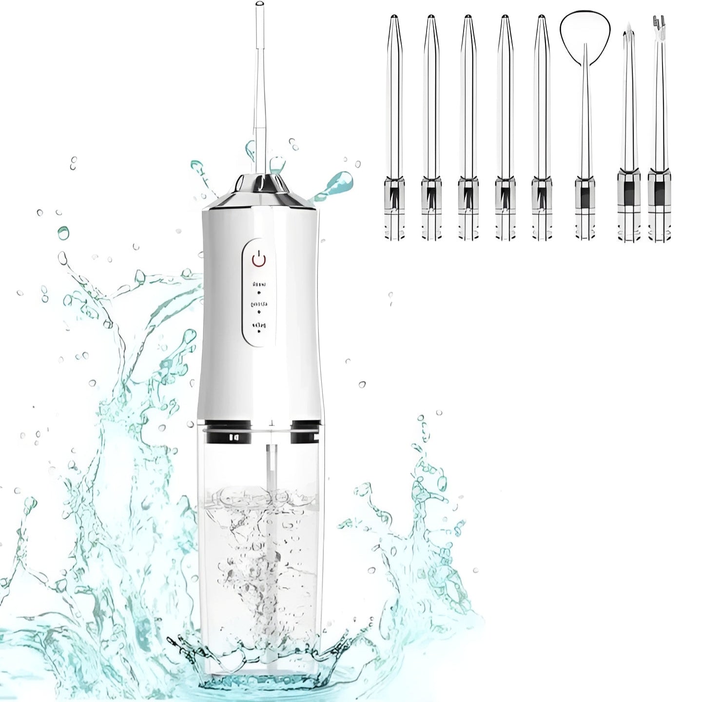 Portable Water Flosser with Removable Tank and 4 Nozzles