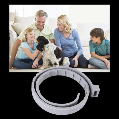 Flea and Tick Repellent Collar for Pets