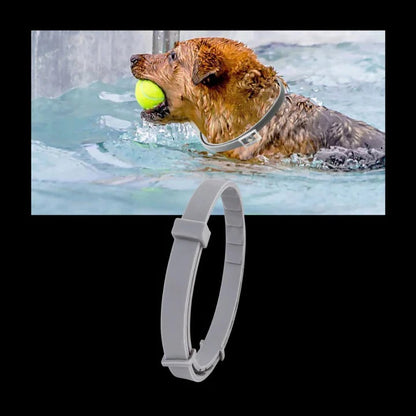 Flea and Tick Repellent Collar for Pets