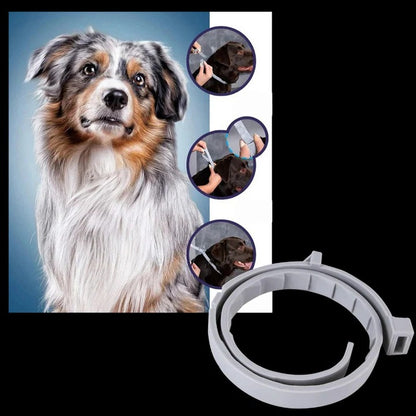 Flea and Tick Repellent Collar for Pets