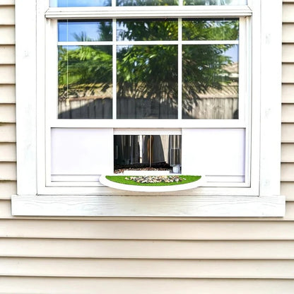 Clear Acrylic Window Mounted Bird Feeder with Suction Cup Attachment