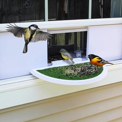 Clear Acrylic Window Mounted Bird Feeder with Suction Cup Attachment