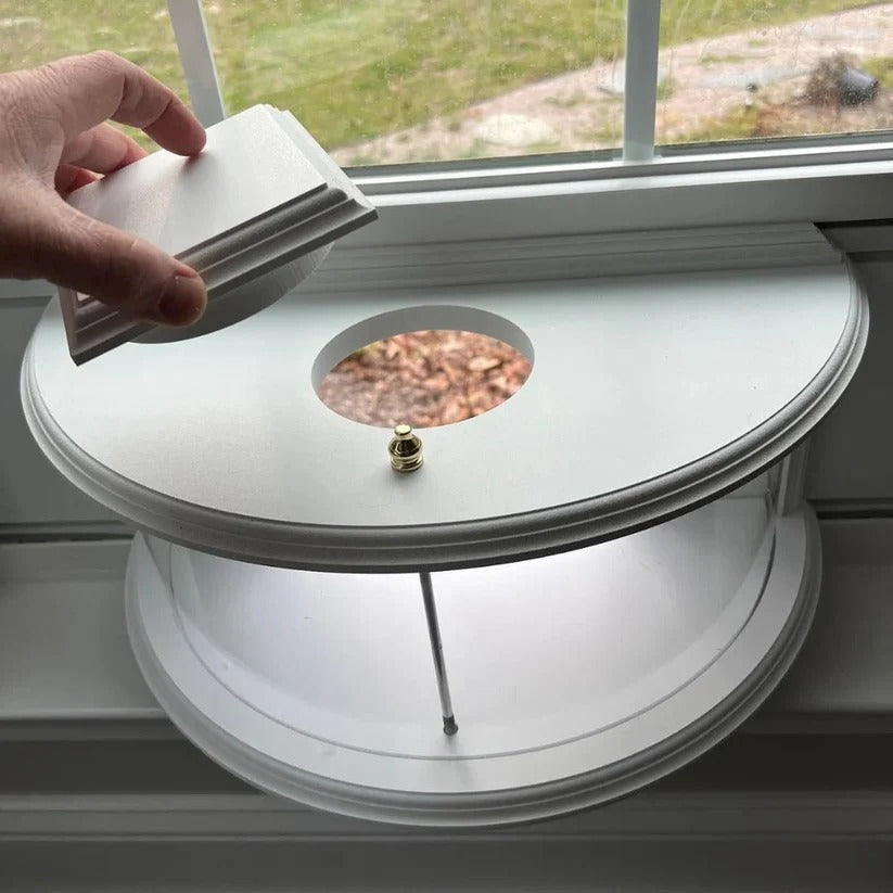 Clear Acrylic Window Mounted Bird Feeder with Suction Cup Attachment