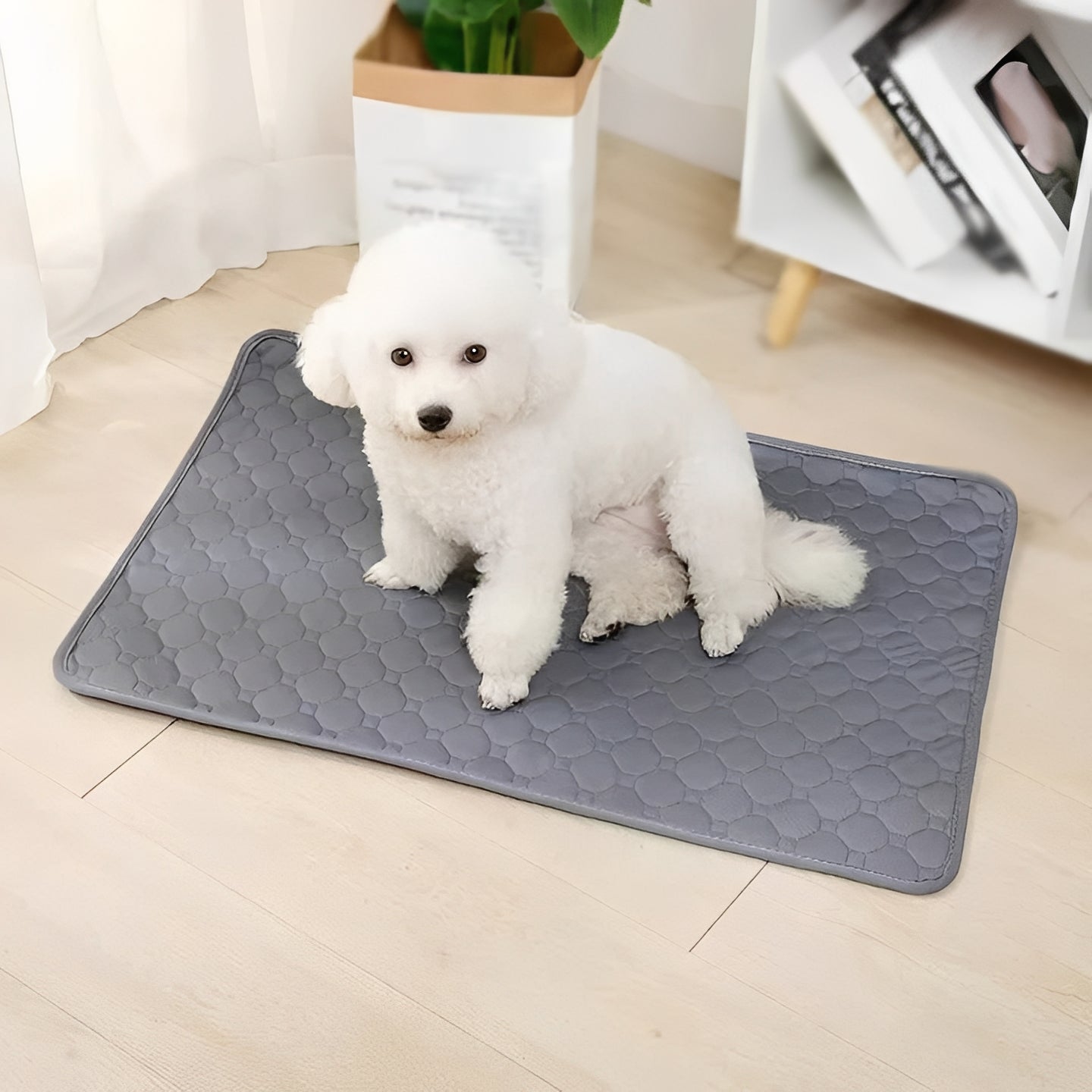 Disposable and Reusable Dog Training Pee Pads for Indoor Use