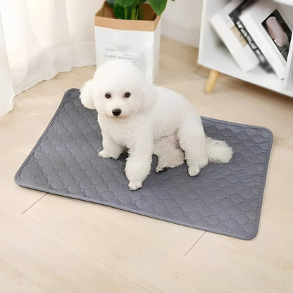 Disposable and Reusable Dog Training Pee Pads for Indoor Use