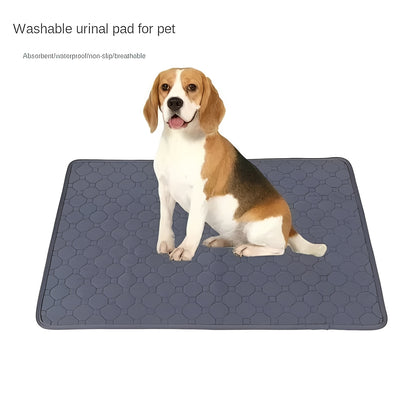 Disposable and Reusable Dog Training Pee Pads for Indoor Use
